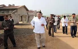Triều Tiên thúc đẩy chăn nuôi gà
