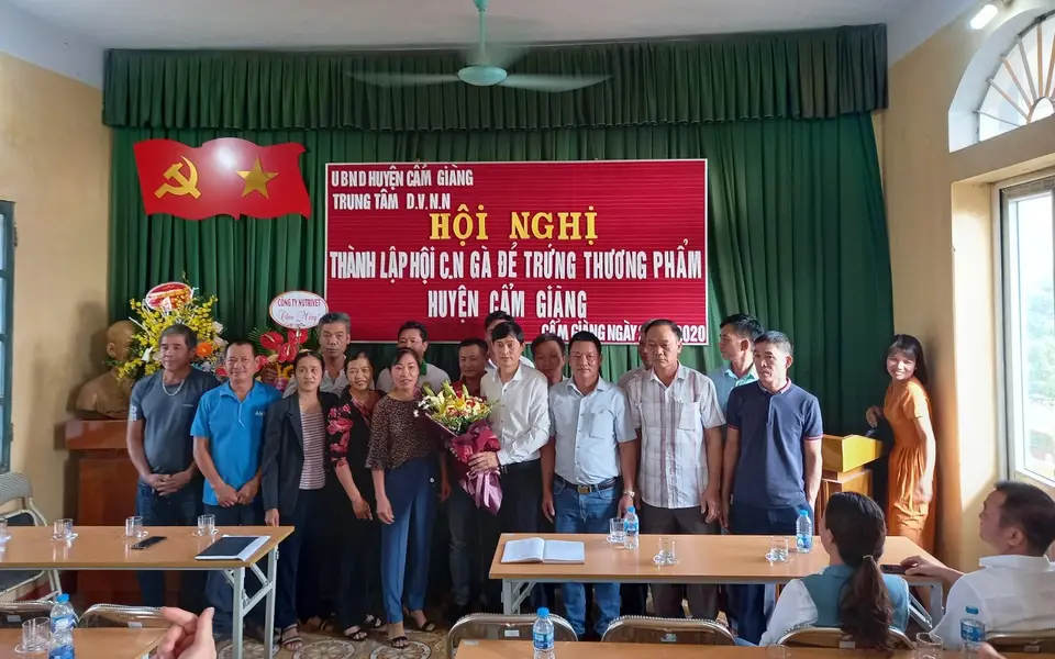 Ra mắt Hội Chăn nuôi gà đẻ thương phẩm huyện Cẩm Giàng