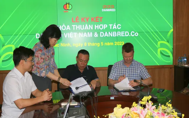 Dabaco group ký kết hợp tác với Công ty Danbred (Đan Mạch) phát triển đàn heo cụ kỵ (GGP) chất lượng cao