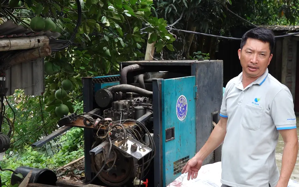 Không dám rời đàn gà nửa bước vì sợ mất điện