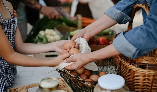 Nỗi lo phía sau lạm phát trứng gà