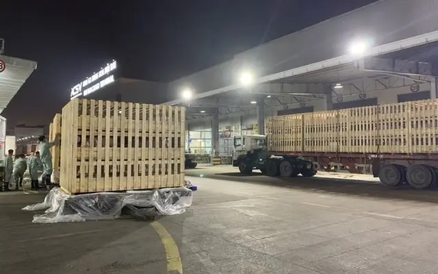 Dabaco Thanh Hóa tiếp tục nhập 600 lợn giống cụ kỵ từ Pháp về Việt Nam