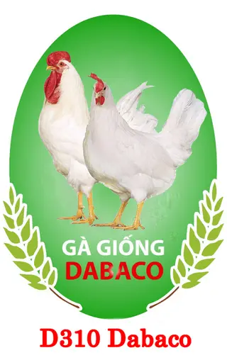 D310 Dabaco