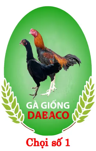 Chọi Số 1 Dabaco