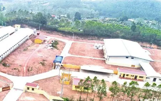 Tầm soát bệnh Leuco từ đàn giống gốc: Lá chắn vững chắc cho người chăn nuôi gà