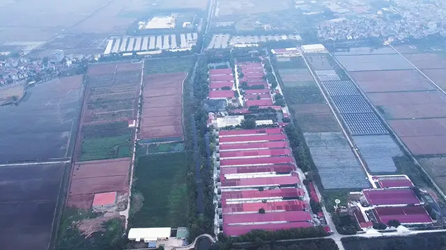Dabaco được chấp thuận đầu tư Cụm công nghiệp Lạc Vệ – Khẳng định vị thế nhà đầu tư chiến lược tại Bắc Ninh