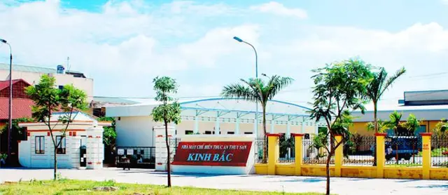 Dabaco đầu tư hàng trăm tỷ vào chăn nuôi công nghệ cao, củng cố chiến lược phát triển bền vững
