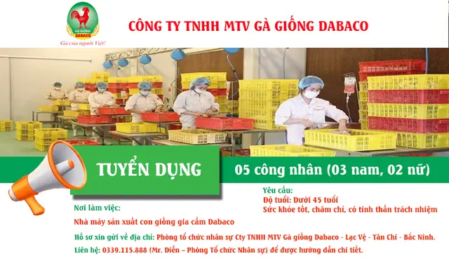 CÔNG TY TNHH MTV GÀ GIỐNG DABACO THÔNG BÁO TUYỂN DỤNG