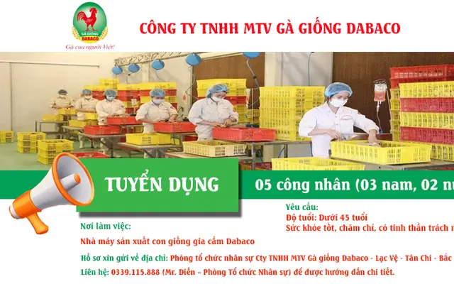 CÔNG TY TNHH MTV GÀ GIỐNG DABACO THÔNG BÁO TUYỂN DỤNG